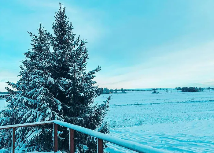 Pollupeegel With Sauna * Raadivere